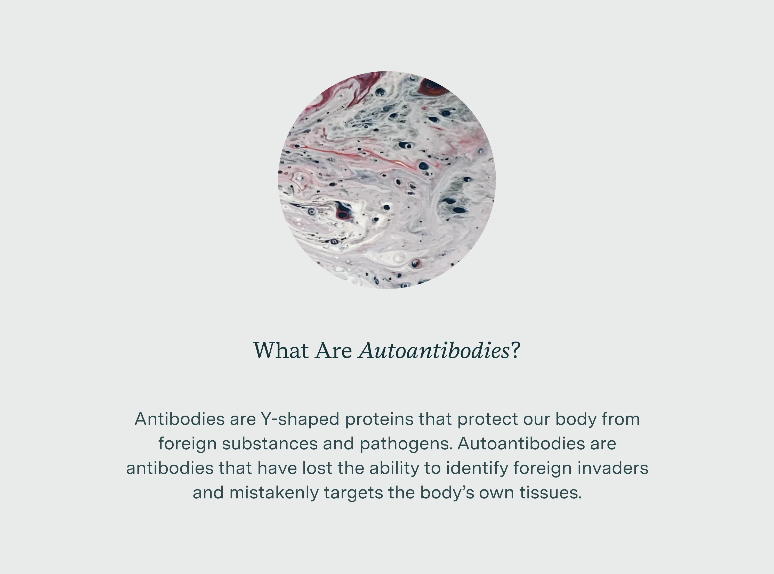 what are autoantibodies?